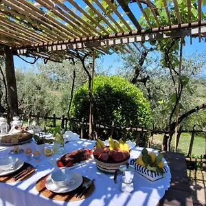  Ferienhaus Carducci Italien
